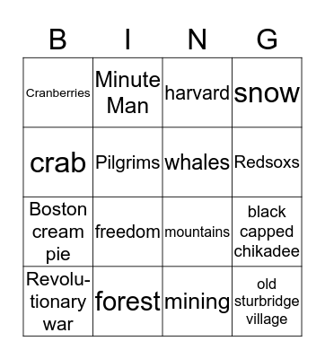 Massachusetts Bingo Card