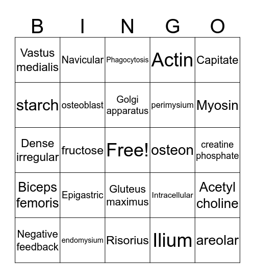 NURS1011 Mid-semester Bingo Card