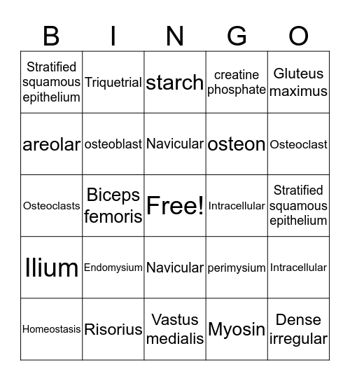 NURS1011 Mid-semester Bingo Card