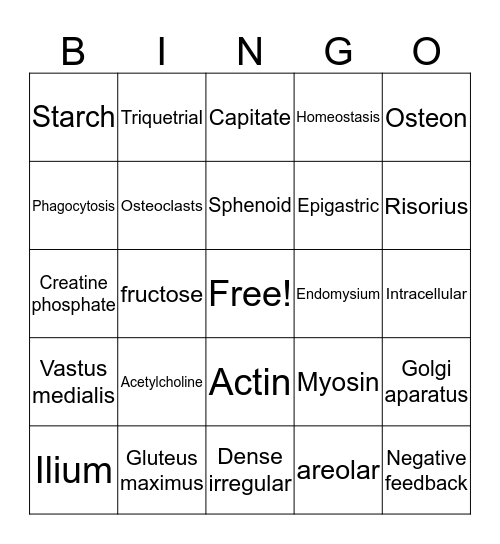 NURS1011 Mid-semester Bingo Card