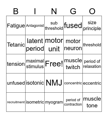 Muscular System Bingo Card