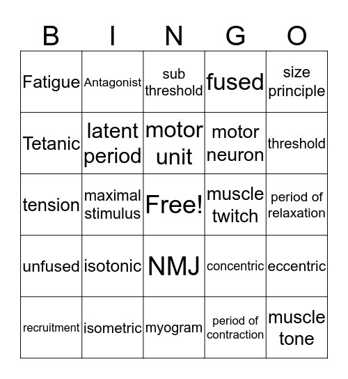 Muscular System Bingo Card