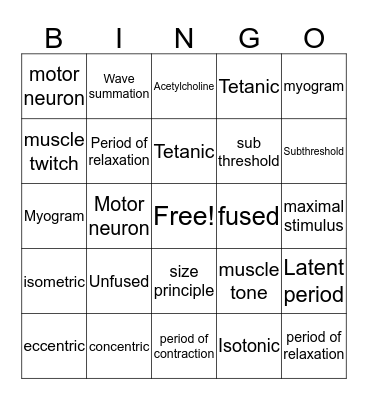 Muscular System Bingo Card