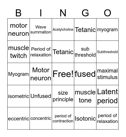 Muscular System Bingo Card