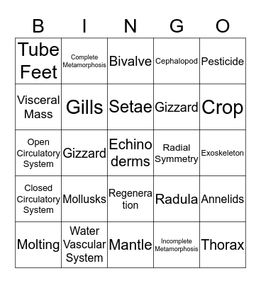 Chapter 13 Bingo Card