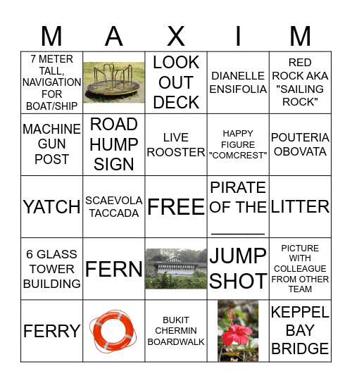 NATURE BINGO Card