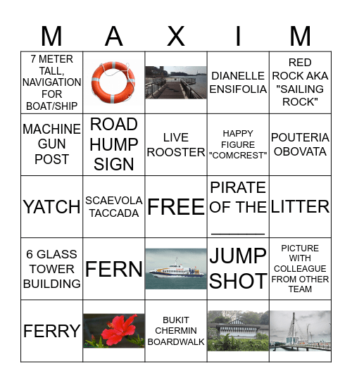 NATURE BINGO Card