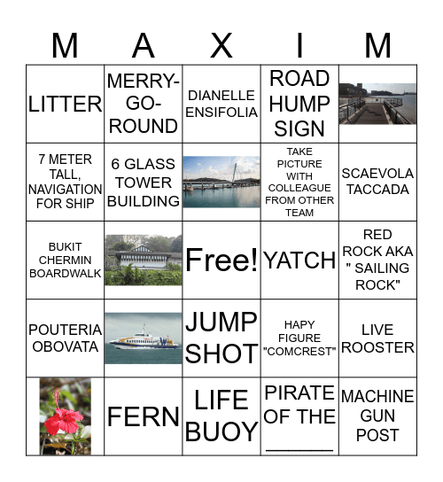 NATURE BINGO Card