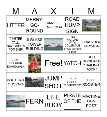 NATURE BINGO Card