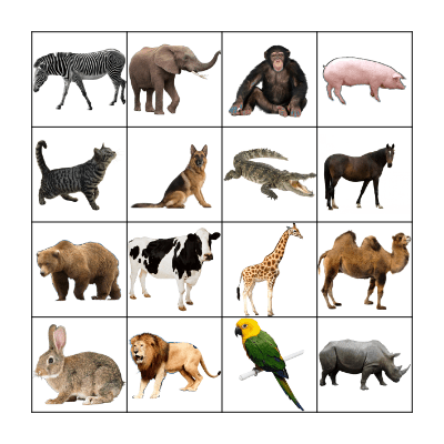 bingo "Animals" Bingo Card