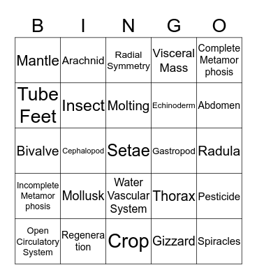 Chapter 13 Bingo Card