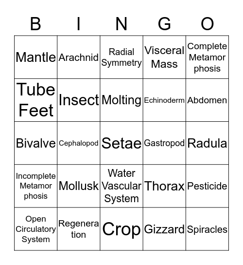 Chapter 13 Bingo Card