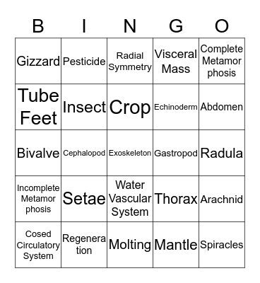 Chapter 13 Bingo Card