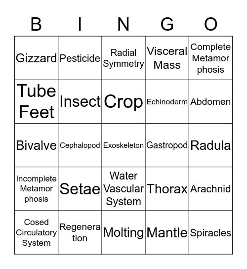 Chapter 13 Bingo Card