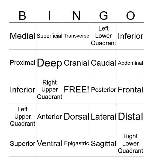 Structural Organization BINGO Card