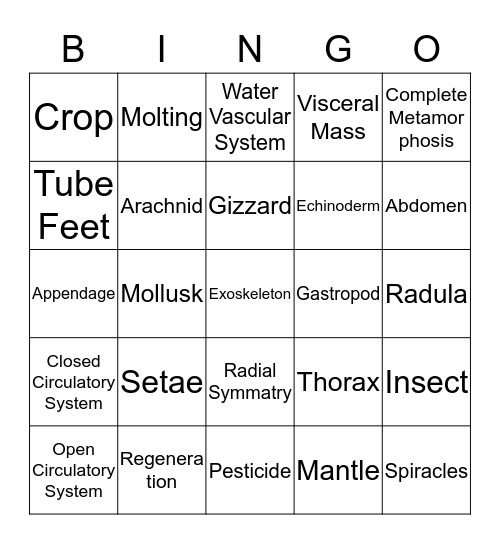Chapter 13 Bingo Card