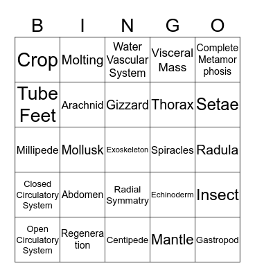 Chapter 13 Bingo Card