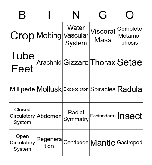 Chapter 13 Bingo Card