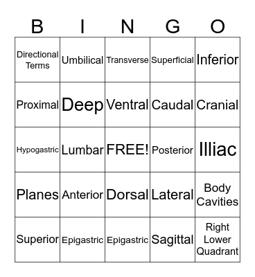Structural Organization BINGO Card