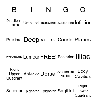 Structural Organization BINGO Card