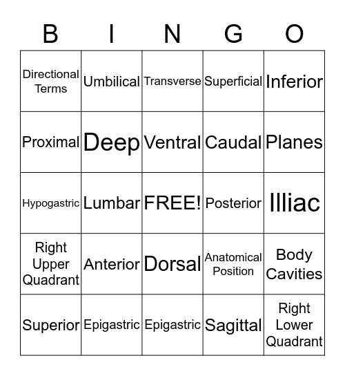 Structural Organization BINGO Card