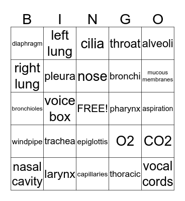 Respiratory System Bingo Card