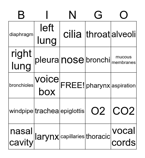 Respiratory System Bingo Card