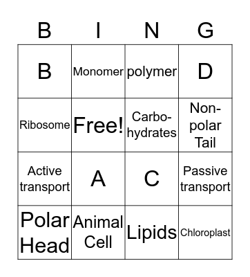 Science Bing Bingo Card