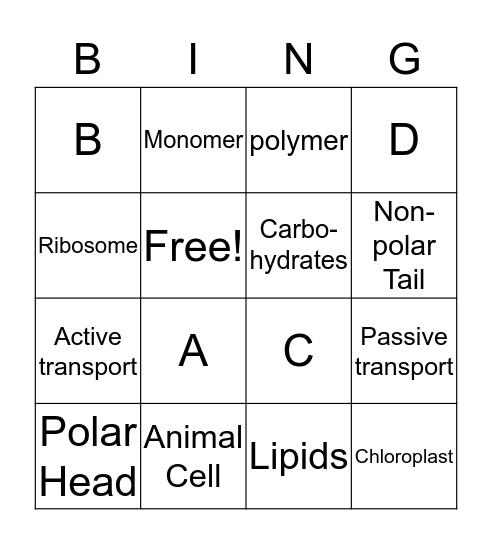 Science Bing Bingo Card