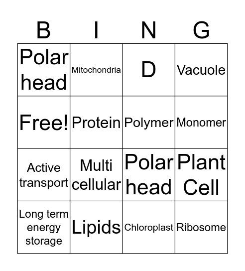 Science Study Game Bingo Card