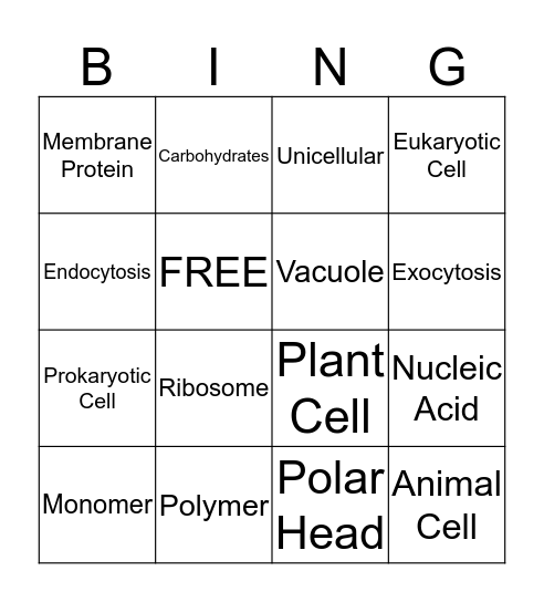 BingBing Bingo Card