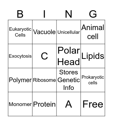 Bing Bing Bingo Card