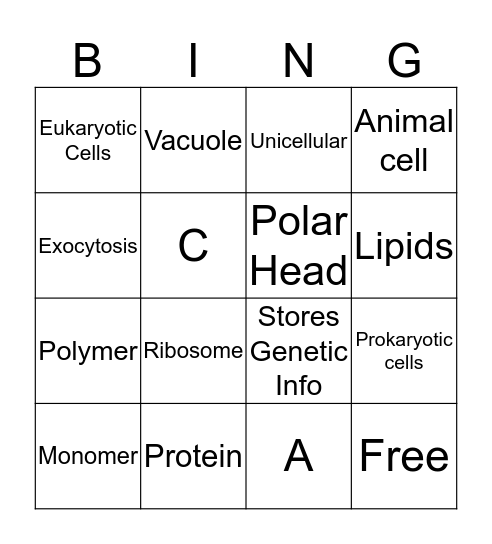 Bing Bing Bingo Card