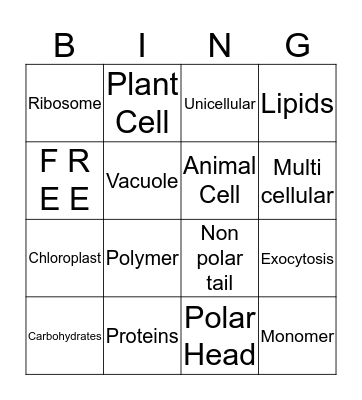 Antoineyyy Bingo Card