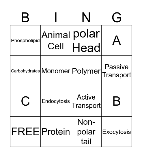 REVIEW  Bingo Card