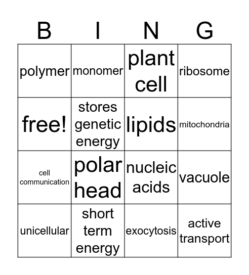 Haley is amazing Bingo Card