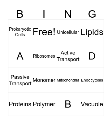 0M3G4 Bingo Card