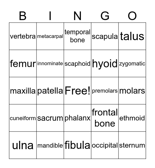 Osteo Bingo Card