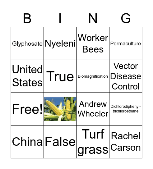 Pesticide Presentation Bingo Game! Bingo Card