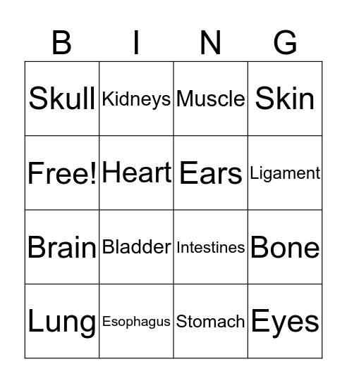 Human Body Bingo Card