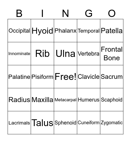 Osteo Bingo! Bingo Card
