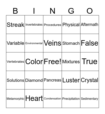 Set 3 Bingo Card
