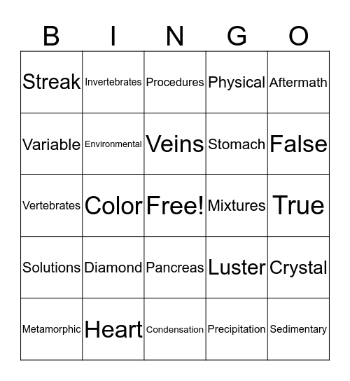 Set 3 Bingo Card