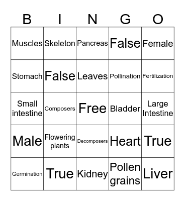 Set 6 Bingo Card