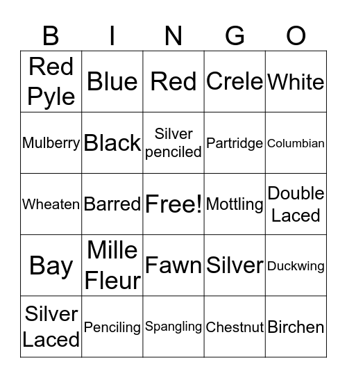 Poultry colors and Feather Patterns Bingo Card