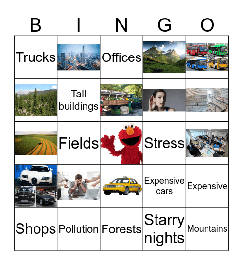 Countryside and City life Bingo Card