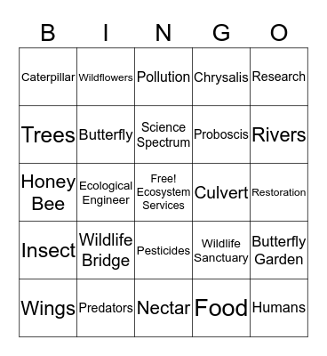 Ecological Engineers Bingo Card