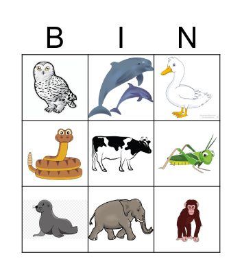 Animal Sound Bingo Card