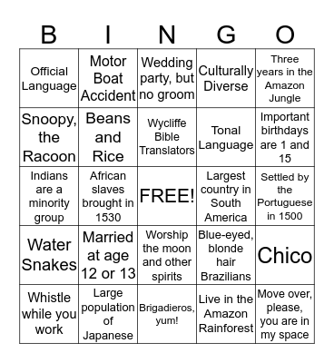 All About Brazil Bingo Card