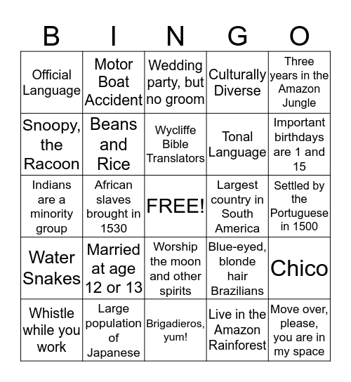 All About Brazil Bingo Card